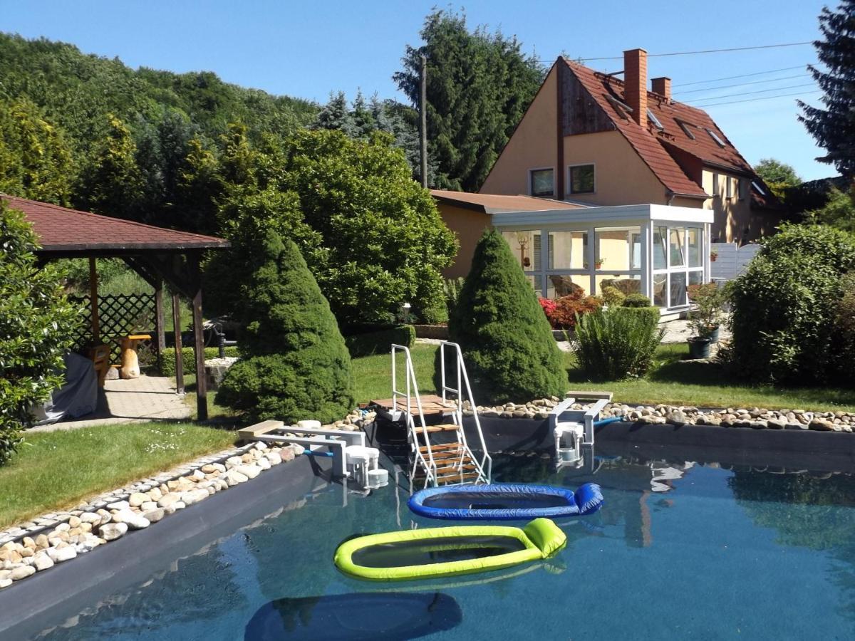 Cosy Apartment With In Pirna With Private Terrace Værelse billede
