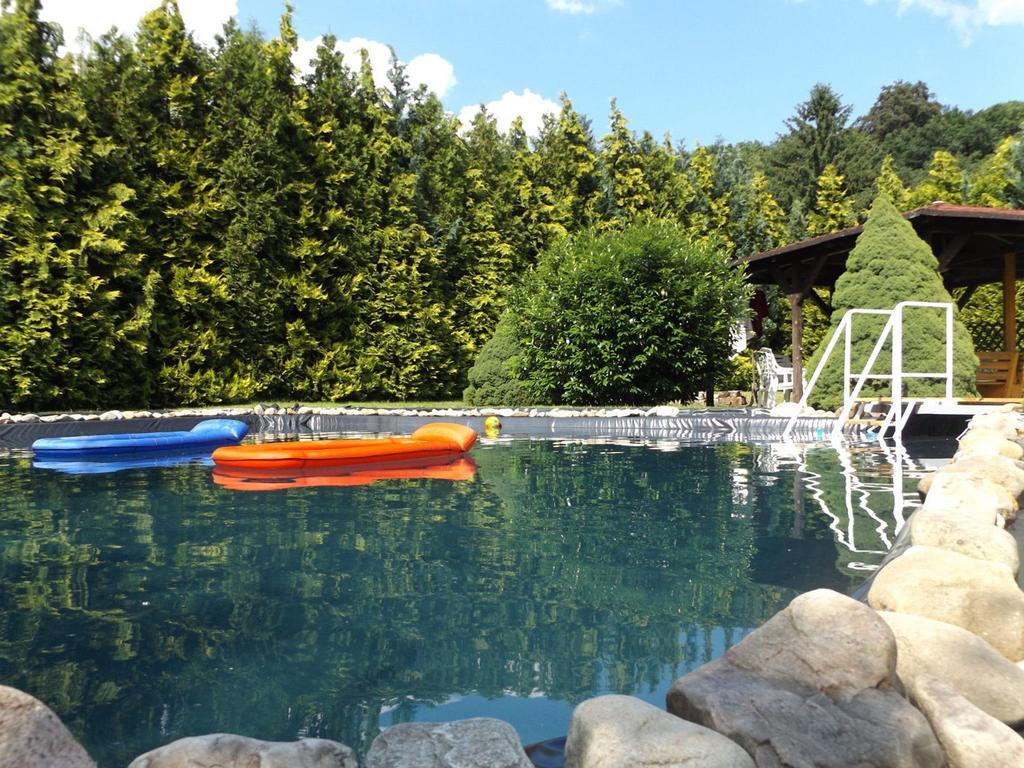 Cosy Apartment With In Pirna With Private Terrace Eksteriør billede