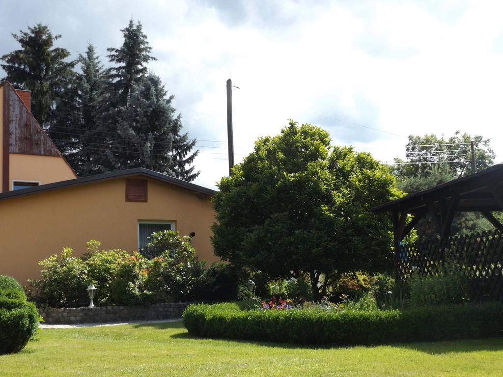 Cosy Apartment With In Pirna With Private Terrace Eksteriør billede