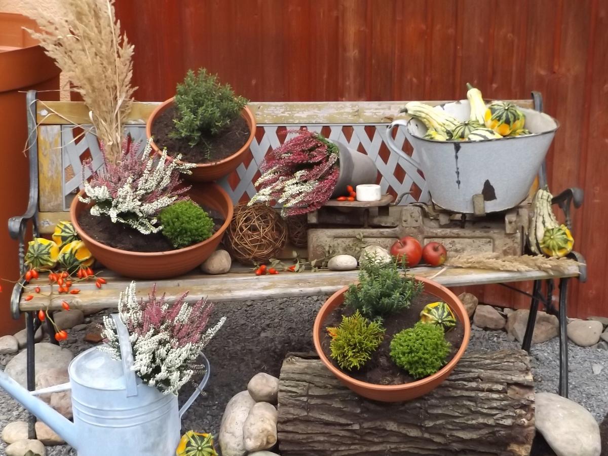 Cosy Apartment With In Pirna With Private Terrace Eksteriør billede